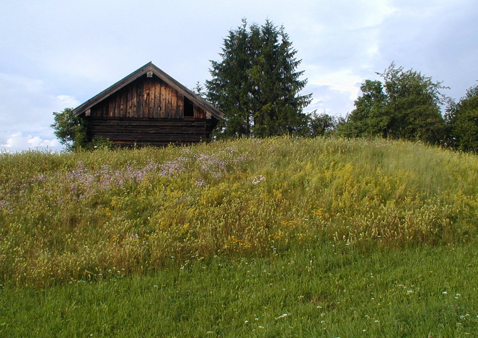 Holzhütte