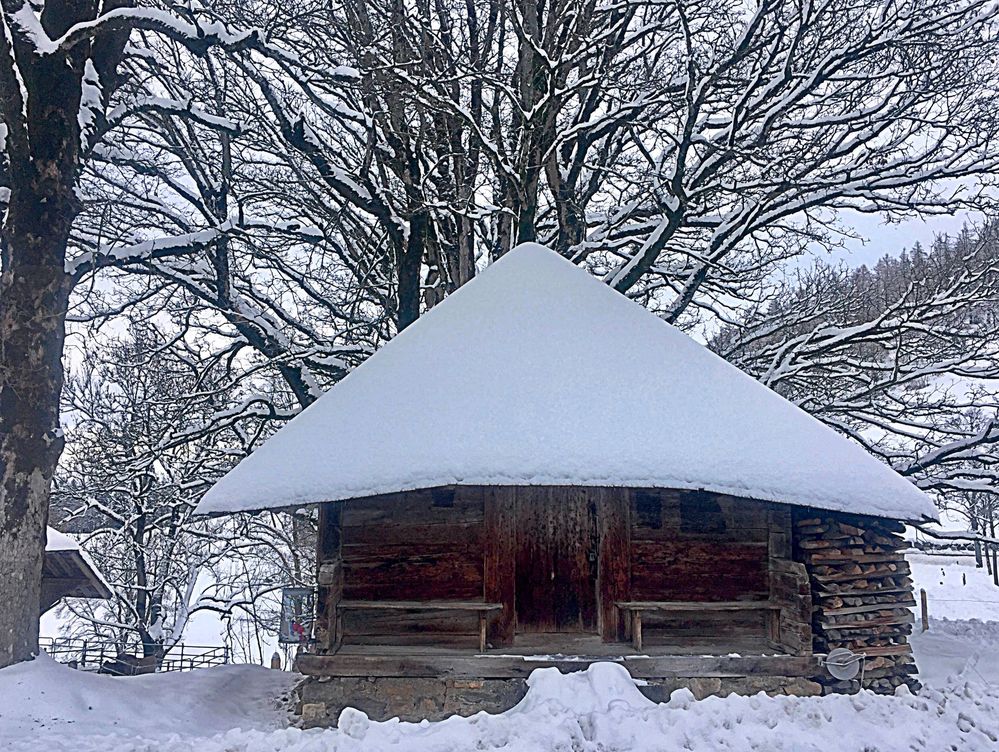 Holzhütte Fuchsbühl ...