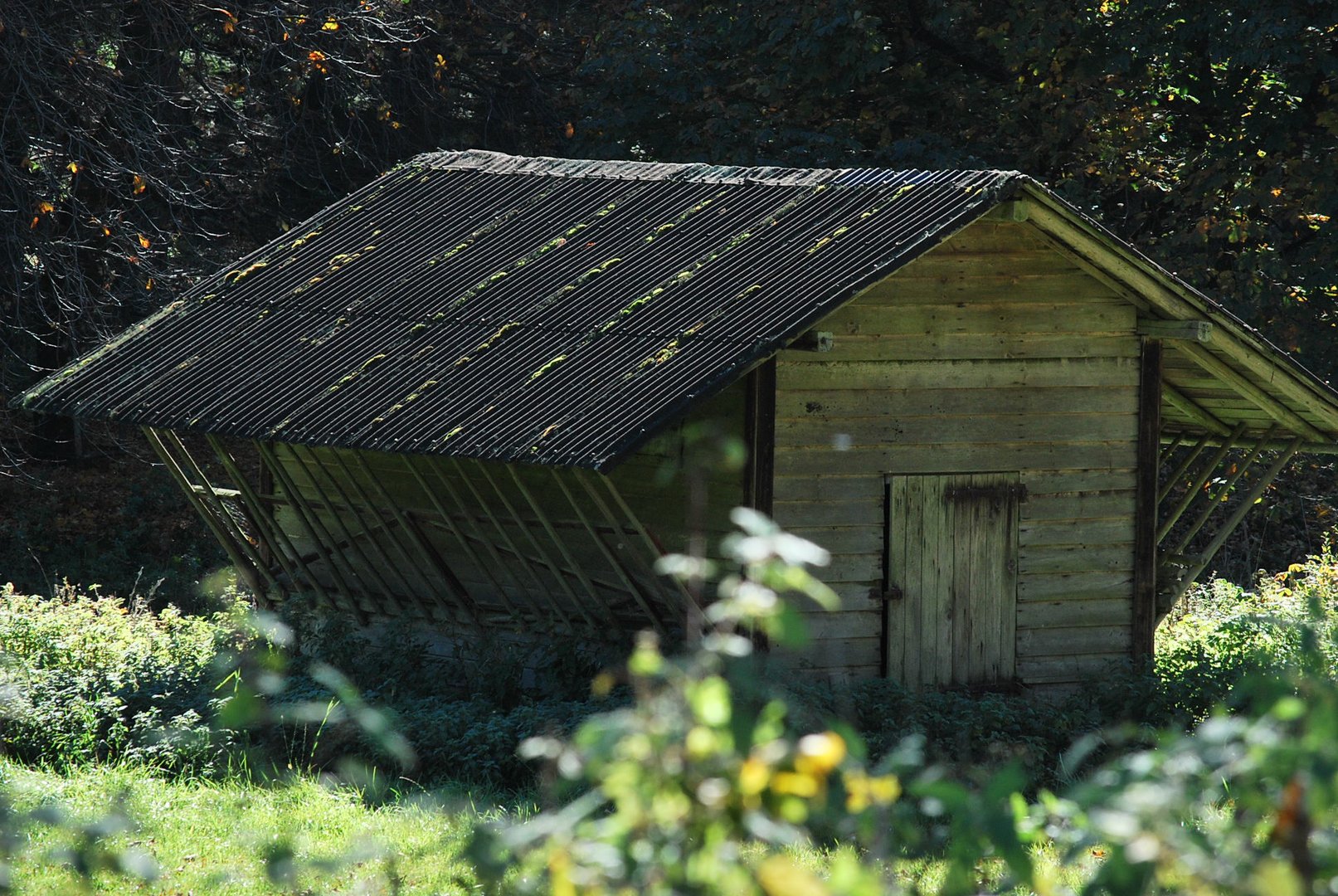 Holzhütte inmitten der Natur