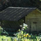 Holzhütte inmitten der Natur