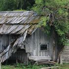 Holzhüttenverfall am Weissensee