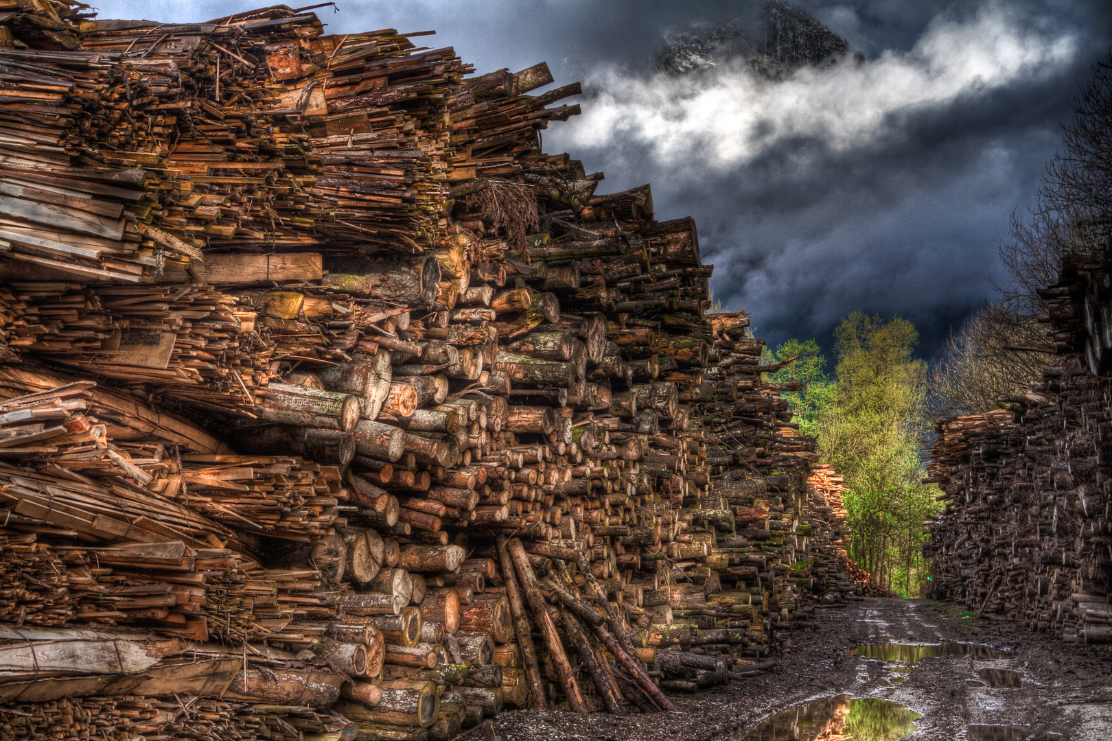 holzige Morgenstimmung in HDR