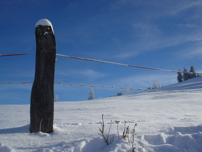 holziger Schneemann...