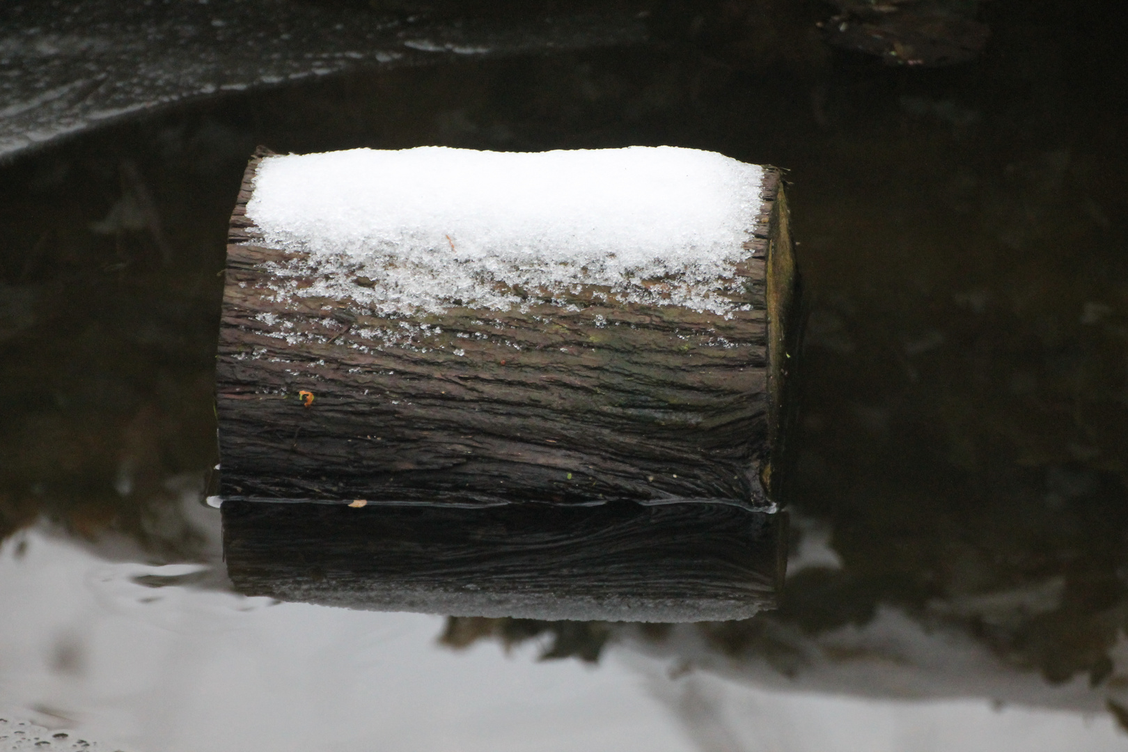 Holzklotz im Wasser