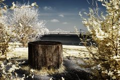 Holzklotz mit Aussicht