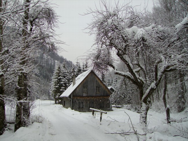 Holzknechthütte in Molln-Welchau