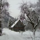 Holzknechthütte in Molln-Welchau