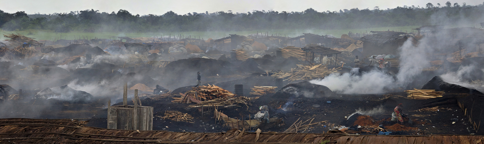 Holzkohlenproduktion in der Elfenbeinküste