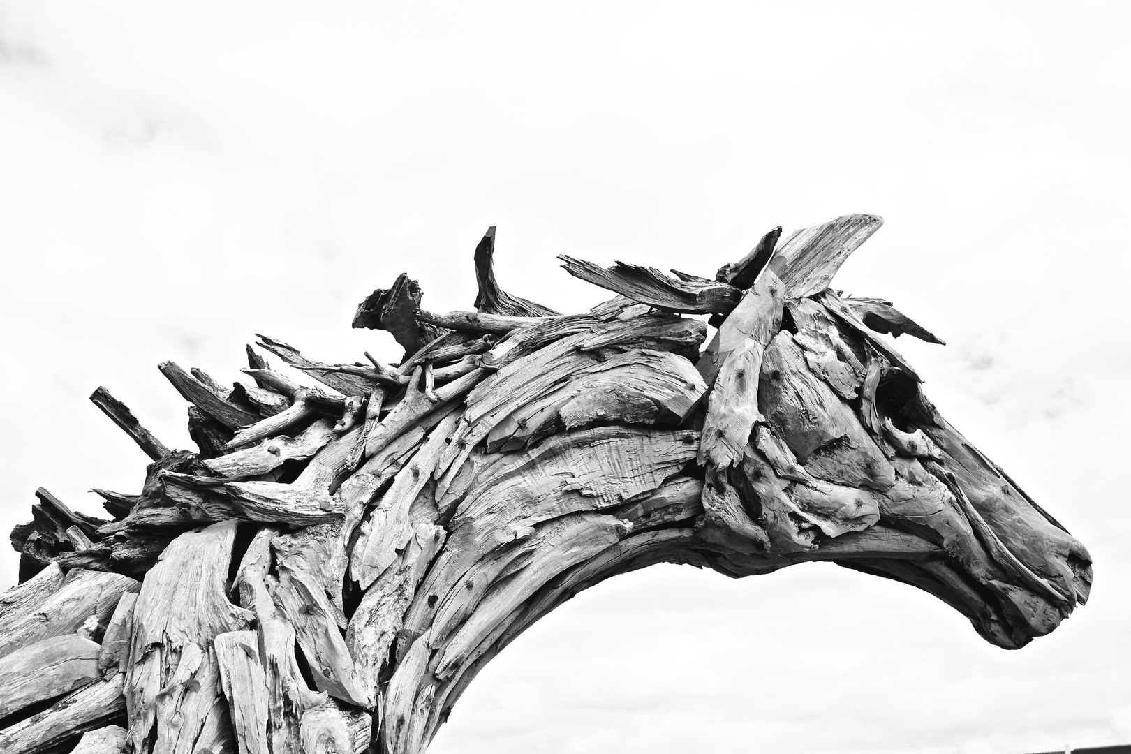 Holzkopf 2 Foto & Bild | sylt, kunst, formen Bilder auf fotocommunity