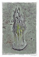 - Holzkunst 1-