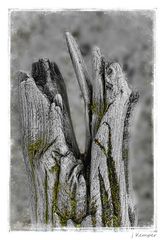- Holzkunst 2 -