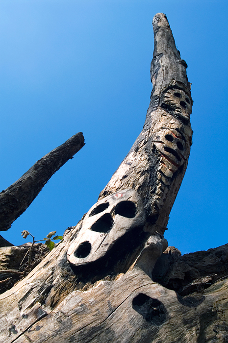 Holzkunst am Kölner Rheinufer