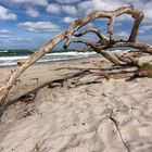 Holzkunst am Strand