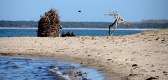 Holzkunst auf der insel