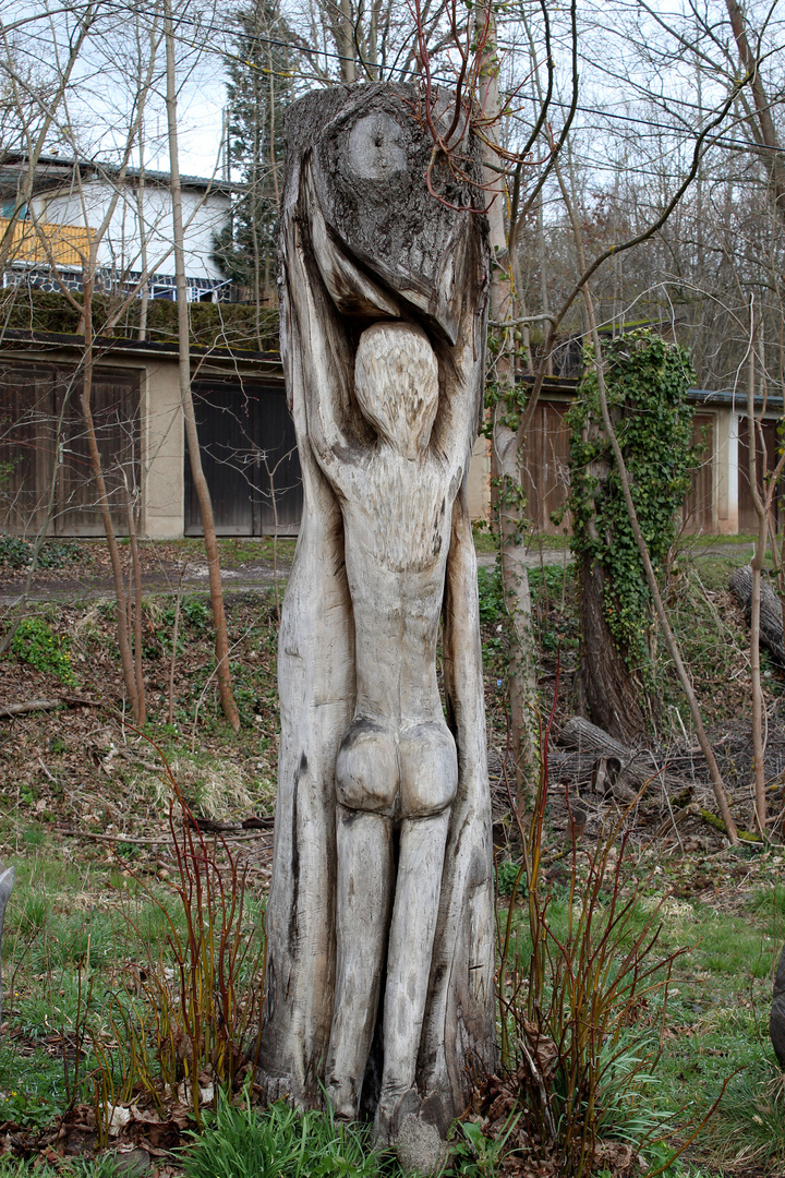 Holzkunst  in der Natur