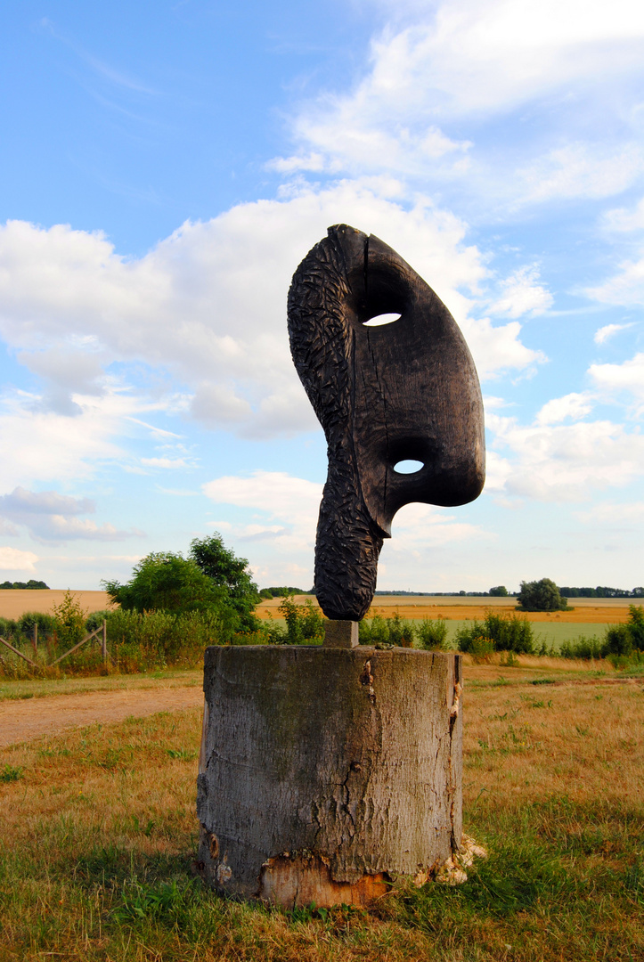 °°°Holzkunst Nähe Gallin MV°°°