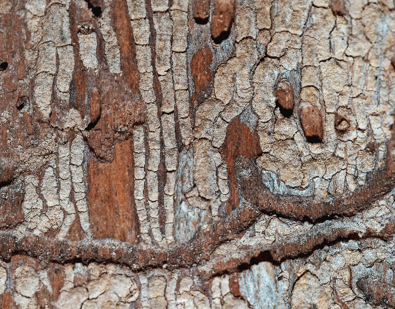 Holzkunst vom Feinsten ...