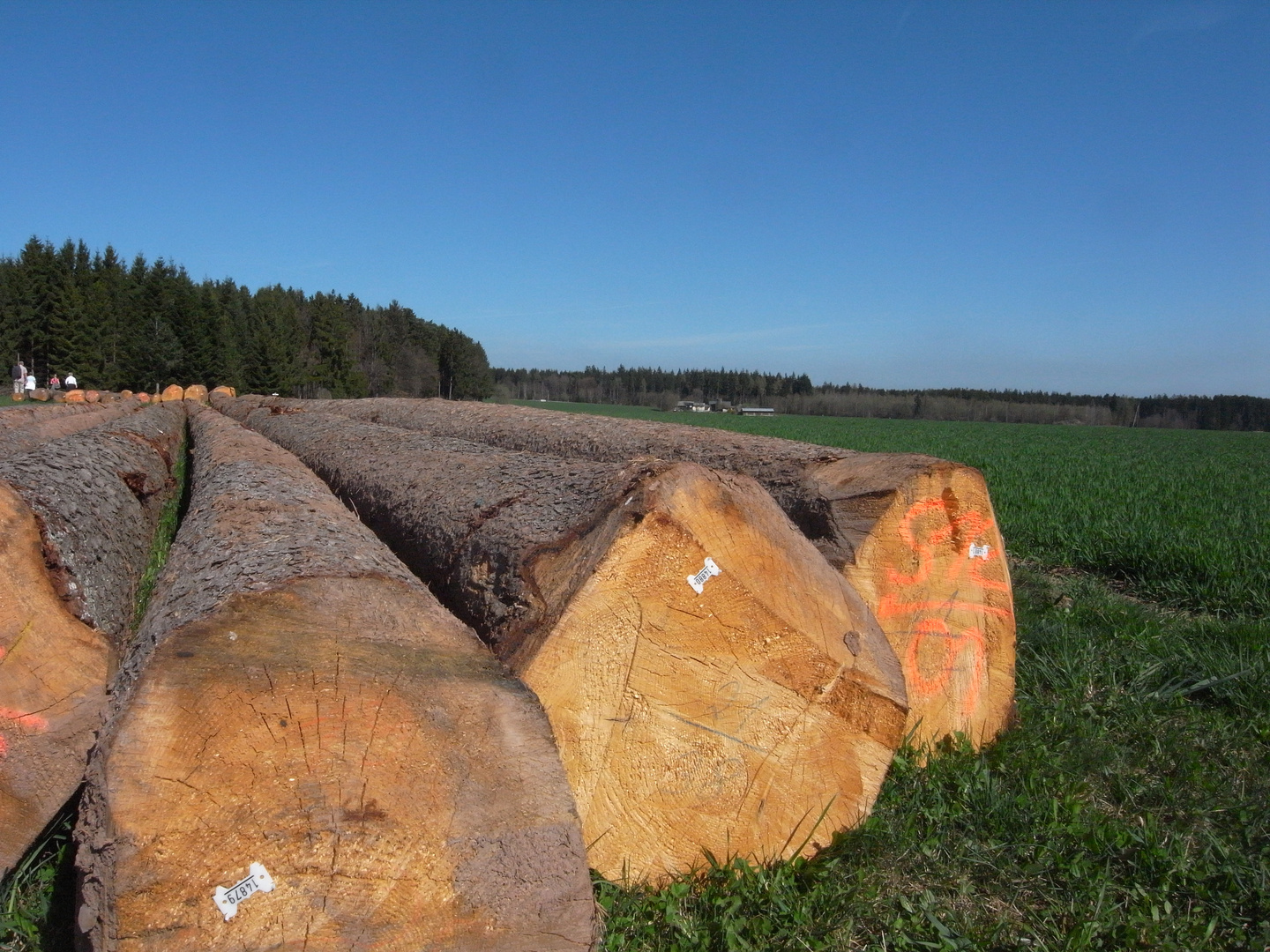 Holzlagerung