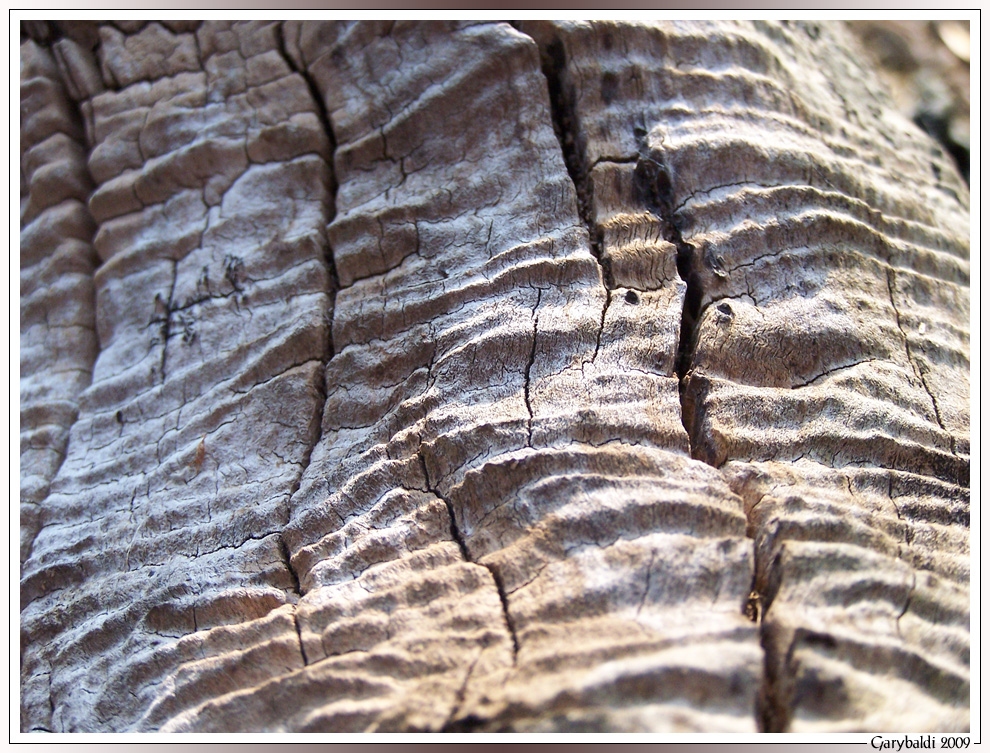 Holzlandschaft