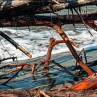 Holzlandschaft