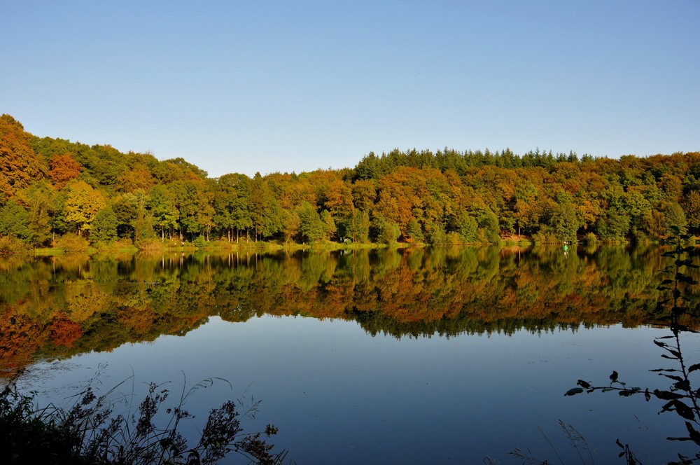 Holzmaar in der Eifel im Herbst