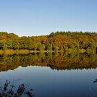 Holzmaar in der Eifel im Herbst