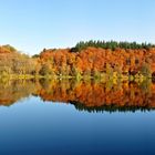 Holzmaar - Vulkaneifel