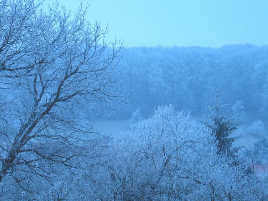 Holzmaden im Reif