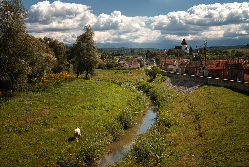 Holzmengen - Hosman