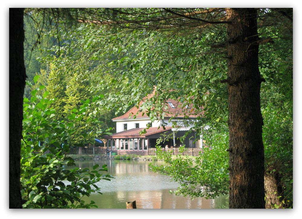 Holzmühle Springe – Eldagsen