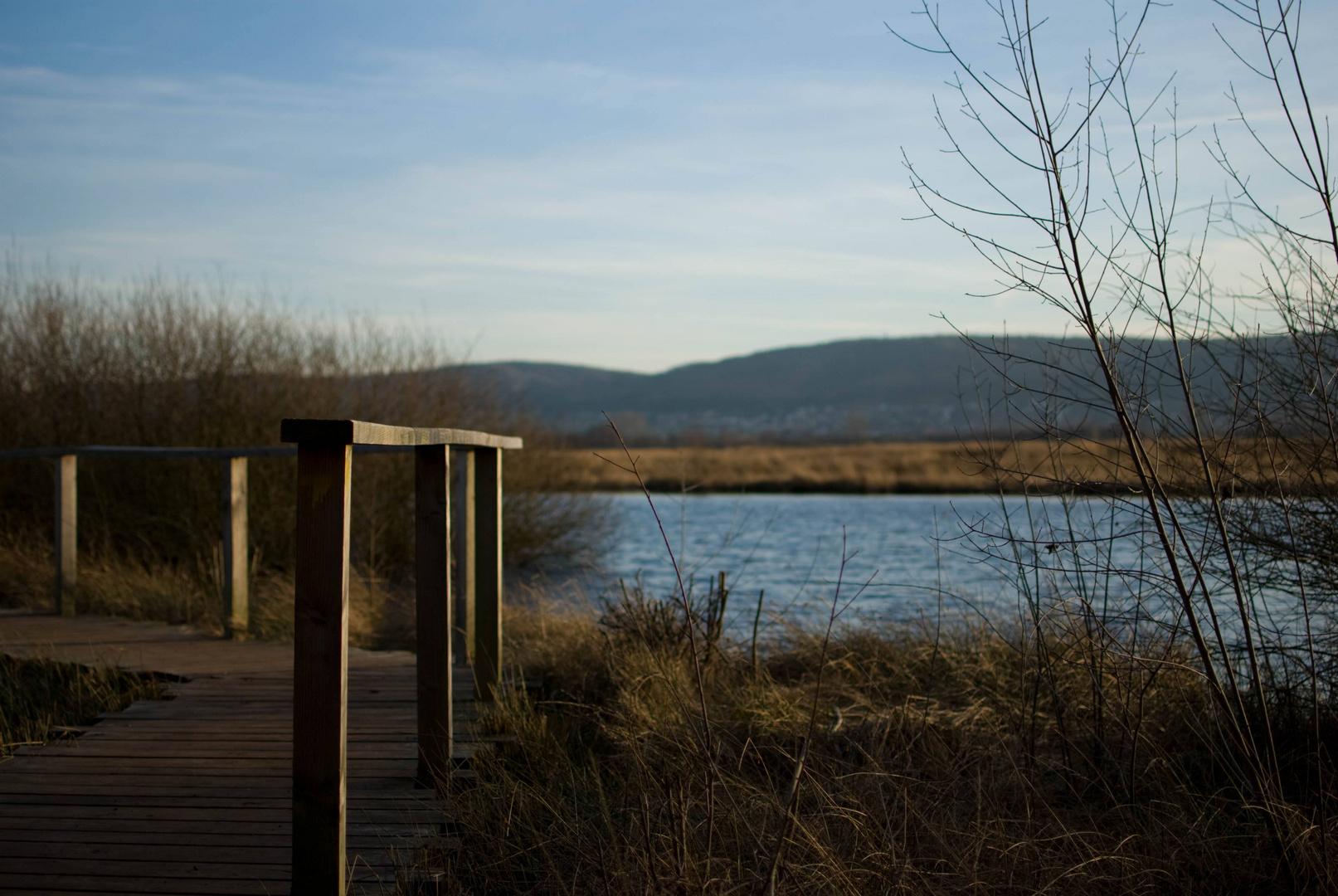 Holzpfad im Hiller Moor