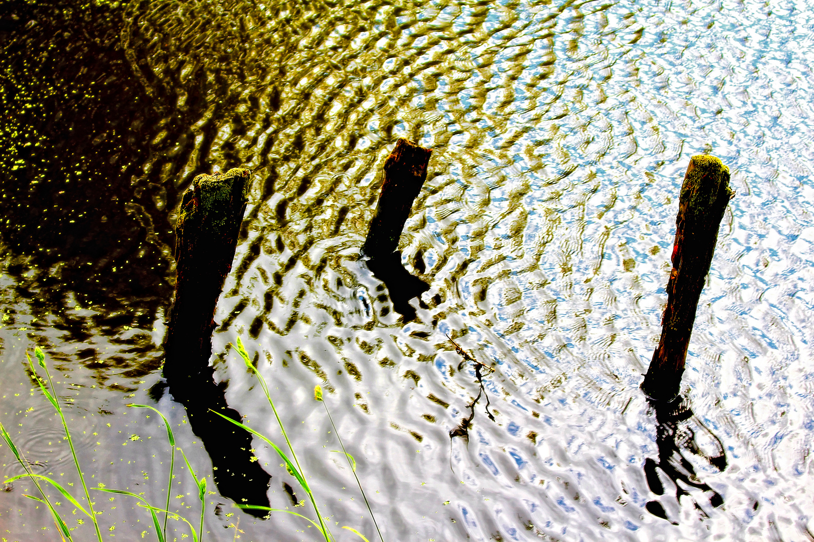Holzpfähle Foto & Bild | landschaft, bach, fluss & see, see, teich