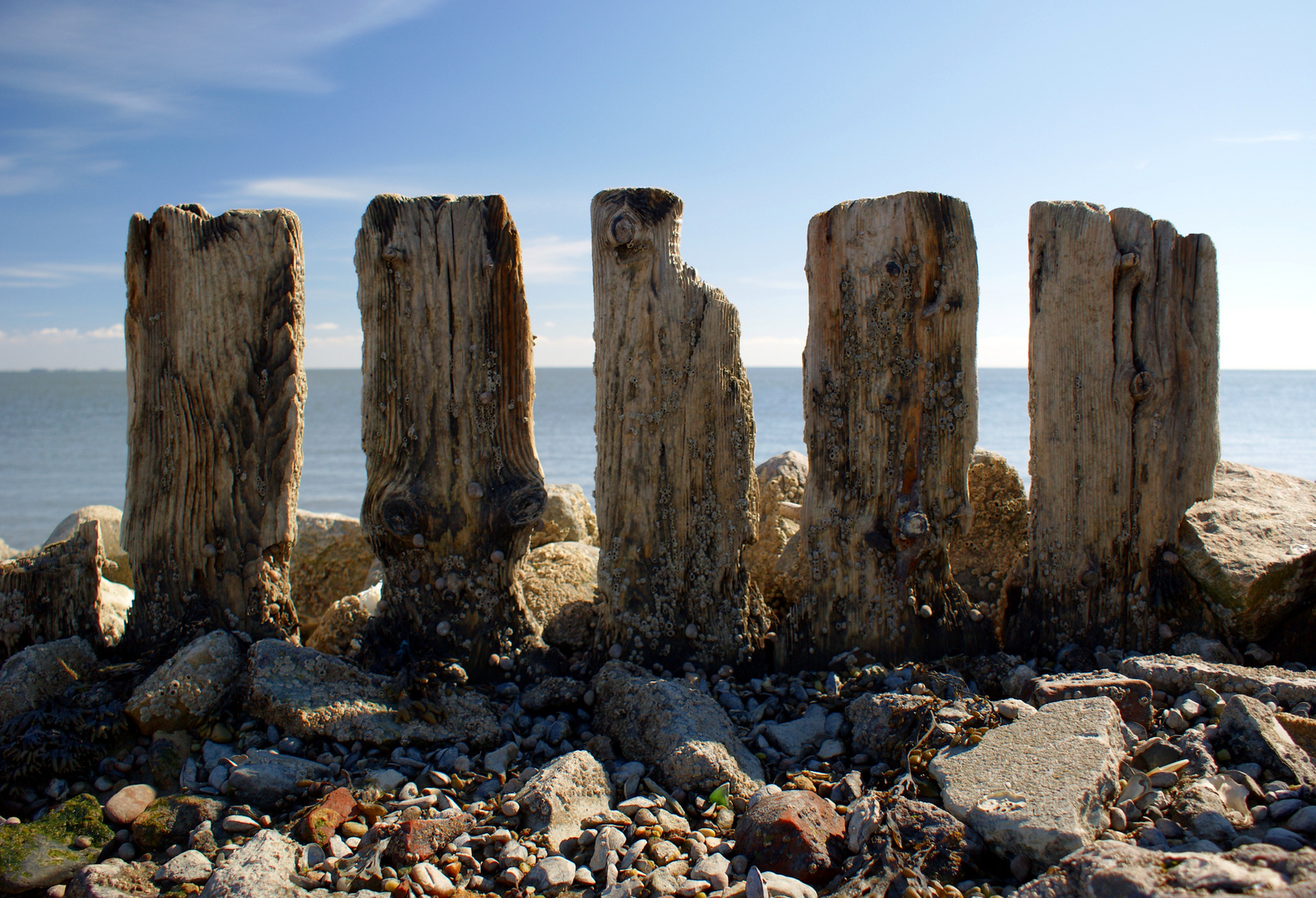 Holzpfähle