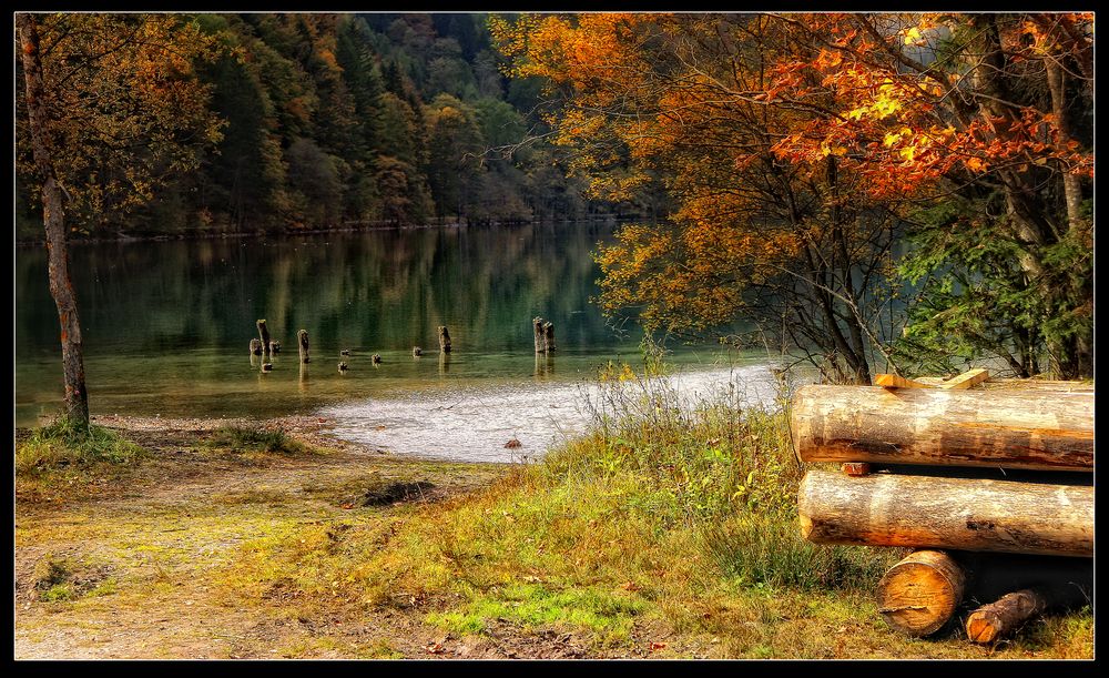 Holzpfähle