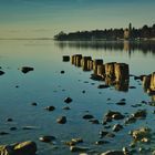 Holzpfähle im Bodensee 