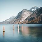 Holzpfähle im Königssee 