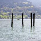 Holzpfähle im Walensee