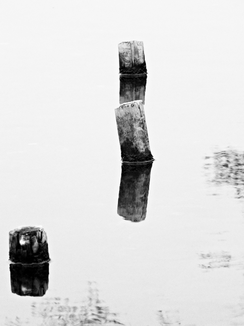 Holzpfähle im Wasser