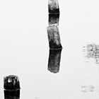 Holzpfähle im Wasser