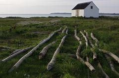 Holzpfähle mit Hütte