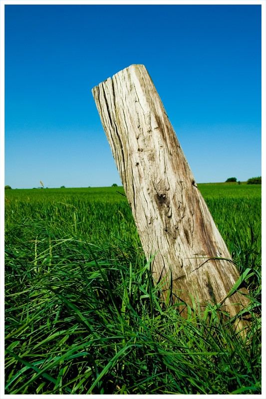 Holzpfahl in der Landschaft