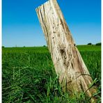 Holzpfahl in der Landschaft