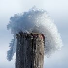 Holzpfahl mit Wintermütze