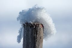 Holzpfahl mit Wintermütze