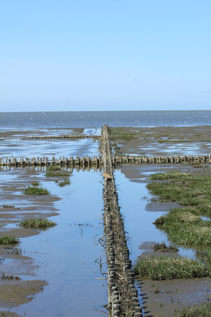 Holzpfahlzaun im Wattenmeer vor Büsum