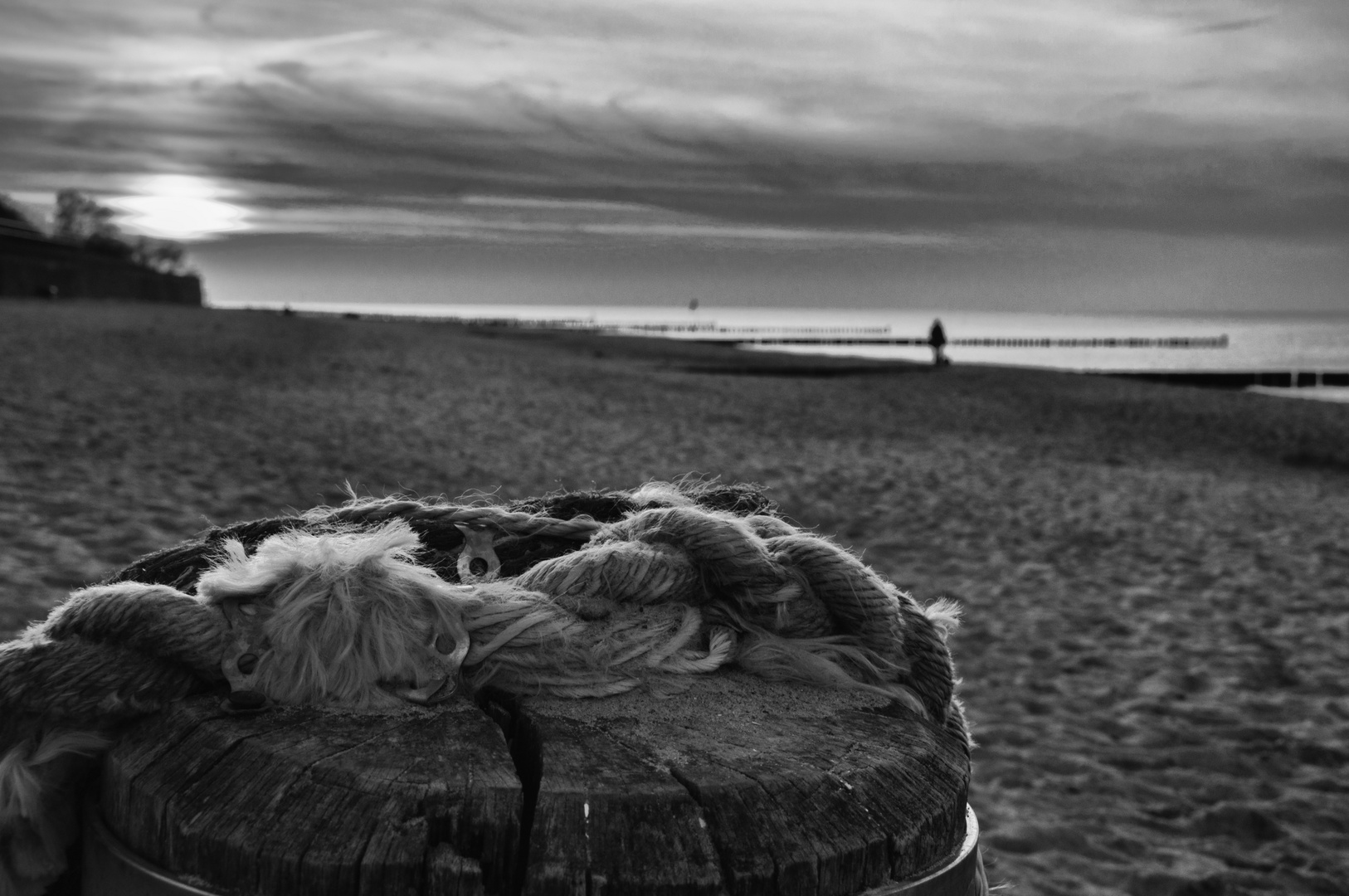 Holzpflock am Strand