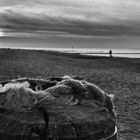 Holzpflock am Strand