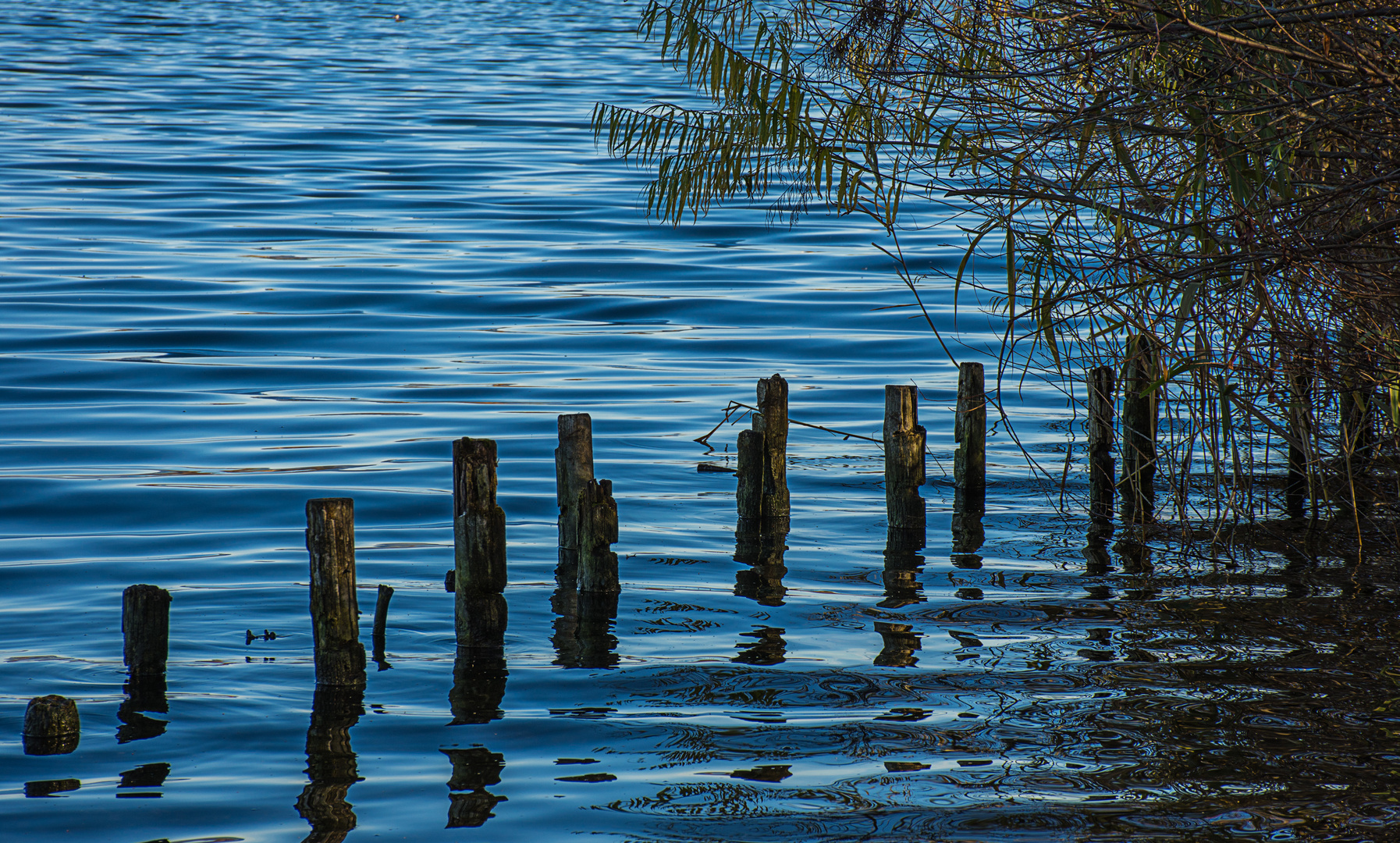  Holzpflöcke im Wasser