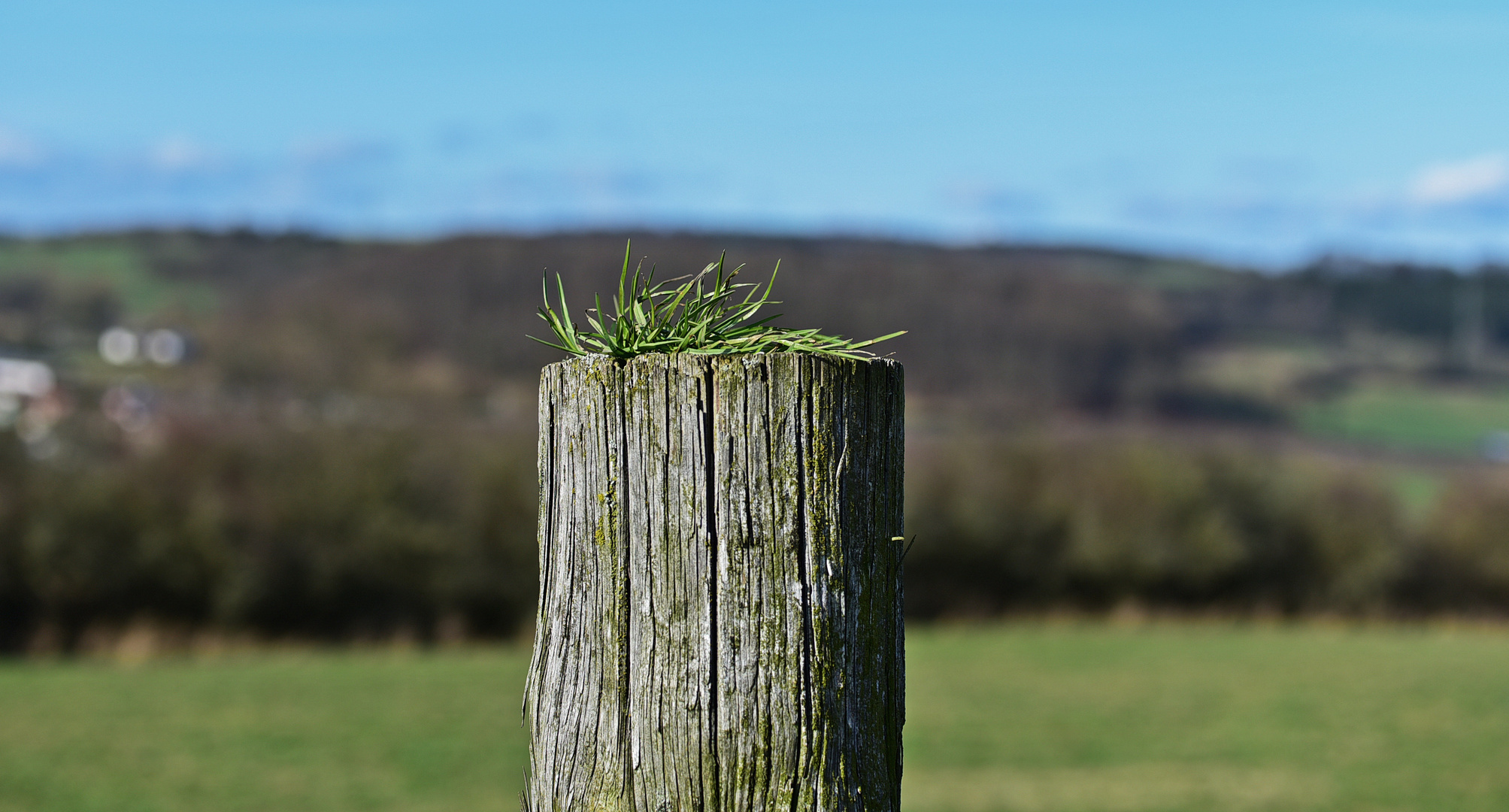 Holzpfosten mit Tuppe...