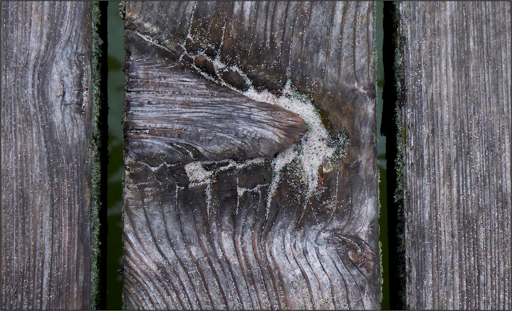 Holzplanken einer Brücke ...